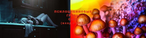 тгк Арсеньев