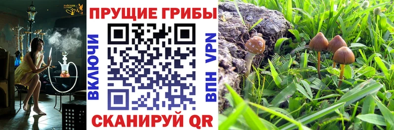 Псилоцибиновые грибы мухоморы  где продают наркотики  Мамадыш 